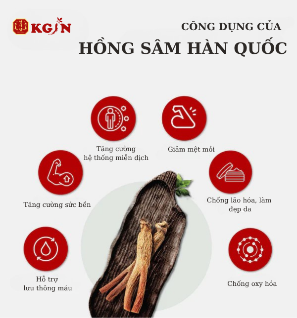 cao sâm 6 năm tuổi chính hãng