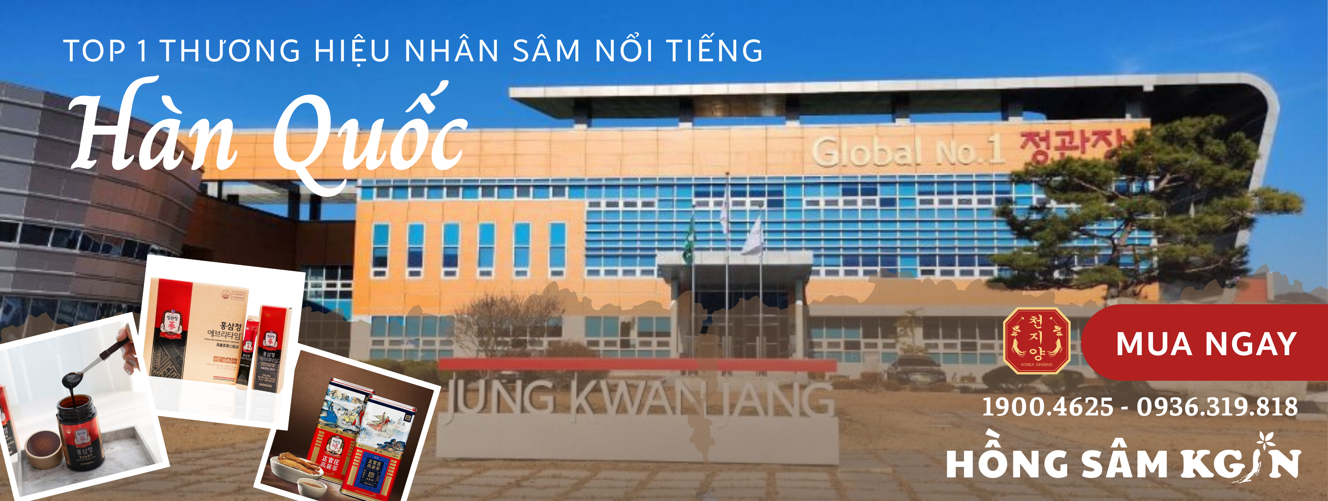 Hồng Sâm KGIN