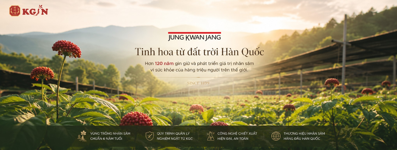Hồng Sâm KGIN